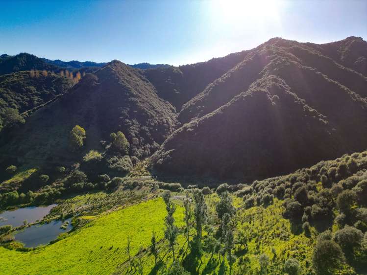 2410 Waitotara Valley Road_0
